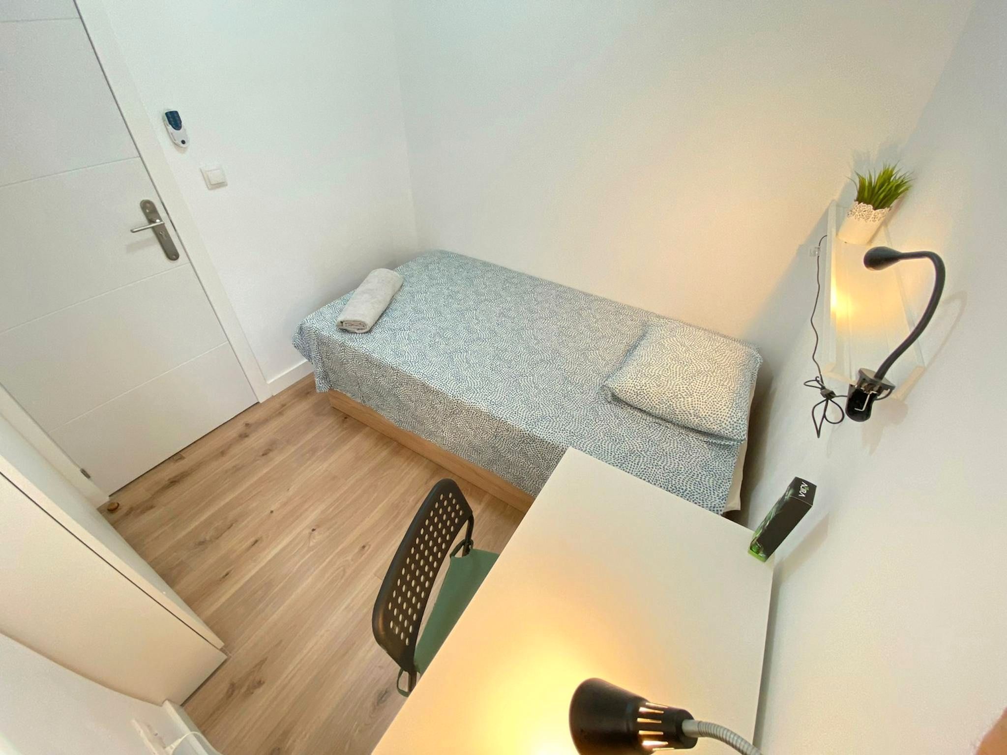 Flat to share in N/A, San Diego