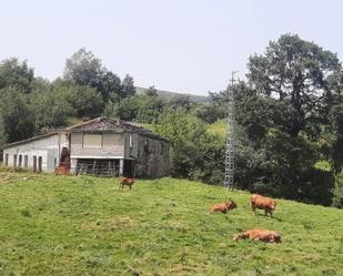 Casa o xalet en venda en San Roque de Riomiera