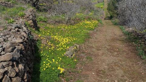 Foto 3 de Terreno en venta en Diseminado Preventorio, 17, La Esperanza - Llano del Moro, El Rosario