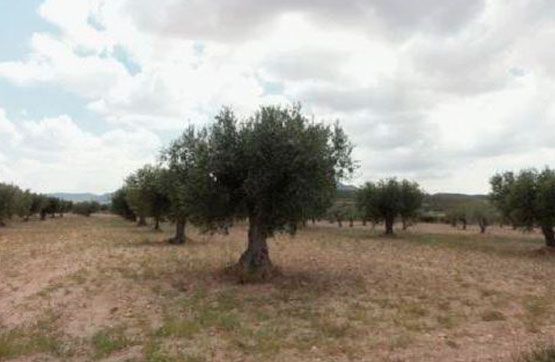 Residencial en venta en Jumilla