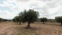 Residential zum verkauf in Jumilla