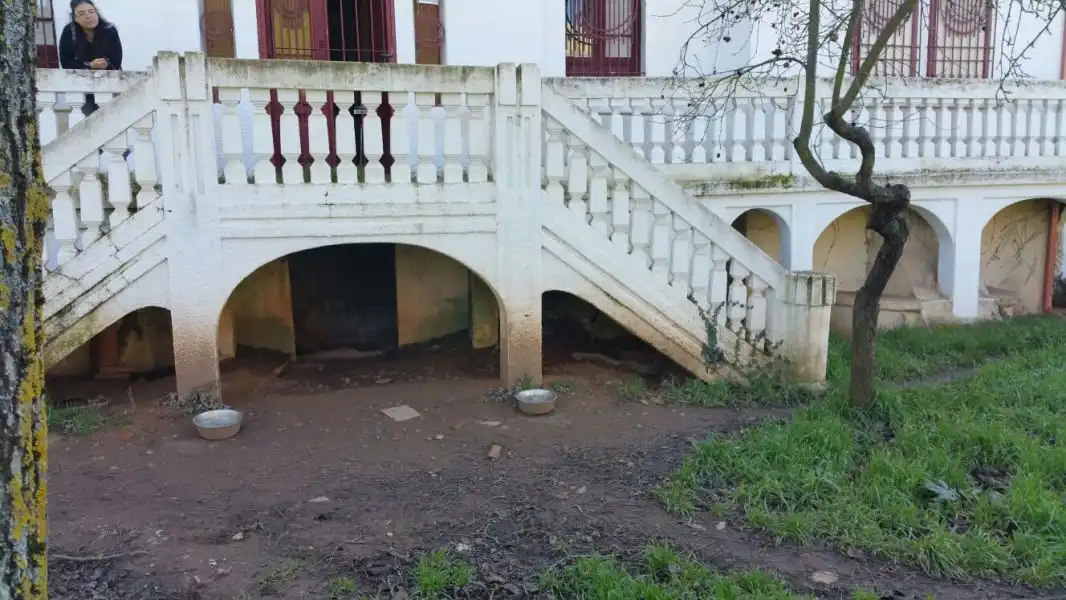 Vista exterior de Finca rústica en venta en Ponferrada con Calefacción, Jardín privado y Terraza