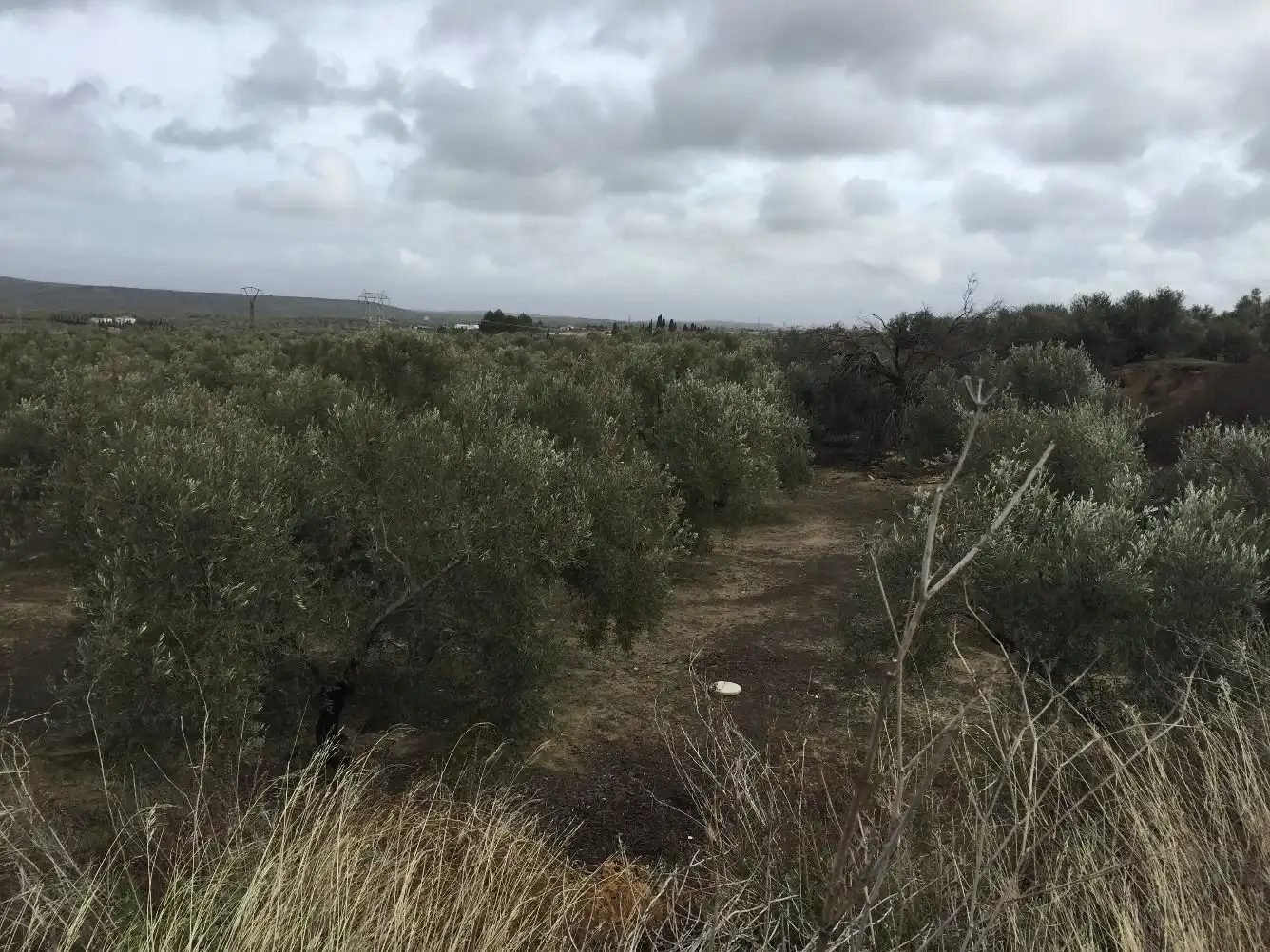 Terrenos y solares en venta en Úbeda, imagen 2