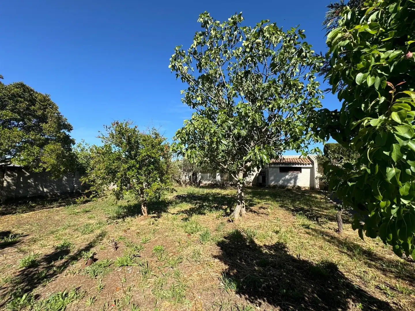 Casa o xalet en venda en Villanueva del Rosario amb Aire condicionat, Jardí privat i Terrassa