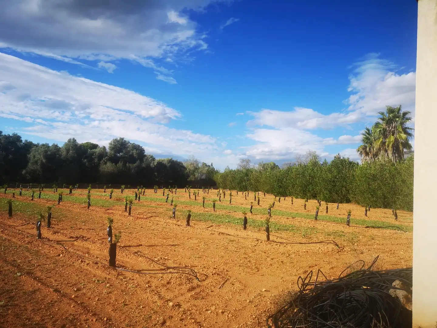 Terreno residenziale in vendita a Ulldecona, imagen 5
