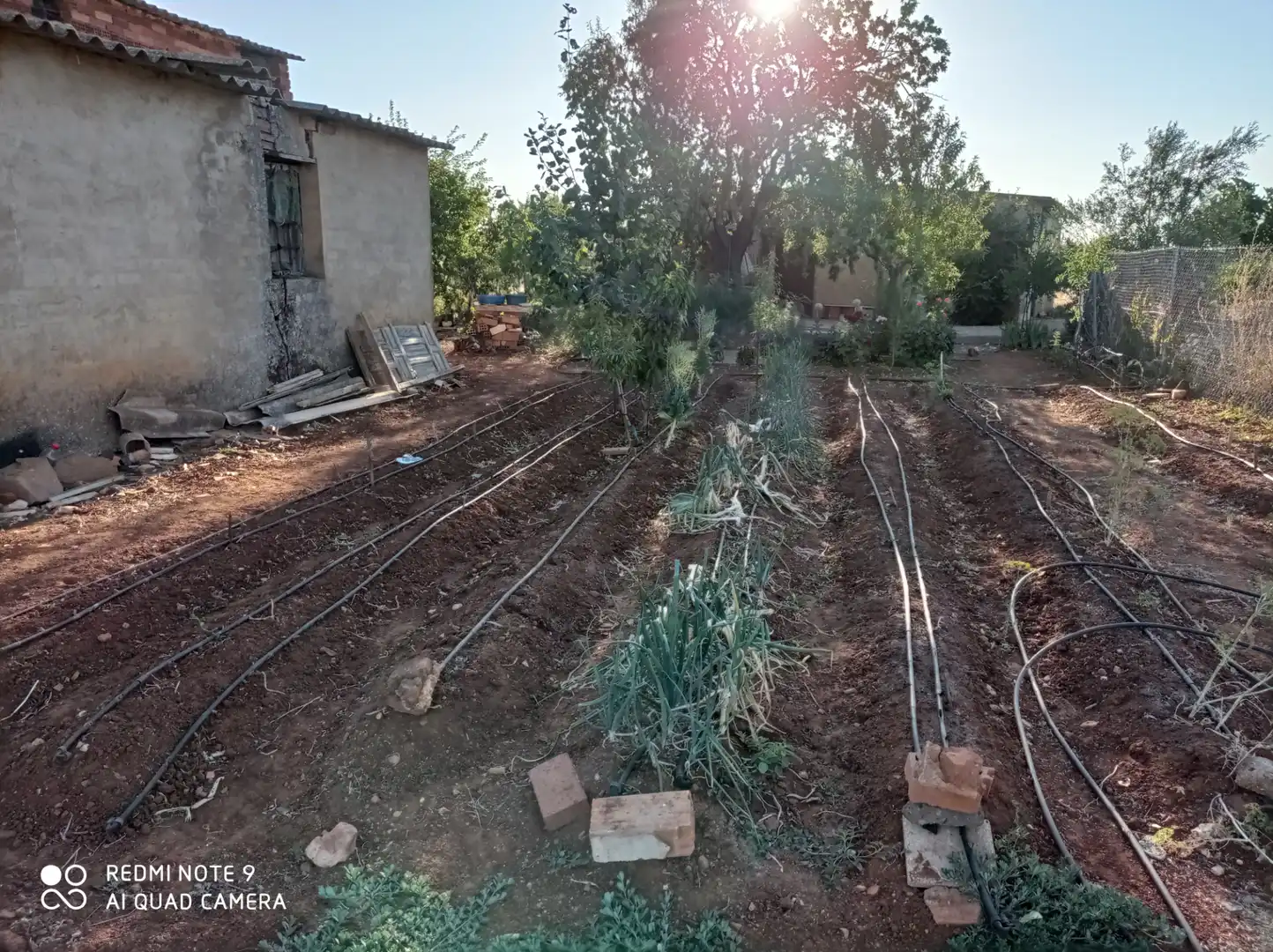 Jardín de Terreno en venta en Ciudad Real