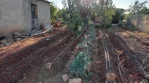 Photo 4 of Land for sale in Los Rosales, Ciudad Real