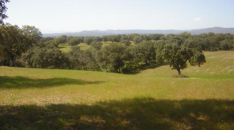 Photo 3 of Country house for sale in Nuño Gómez, Toledo