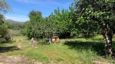 Finca rustica, imatge 2