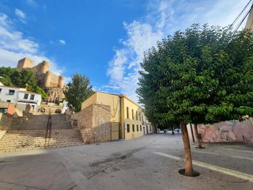 Terreni e lotti in vendita a Almansa