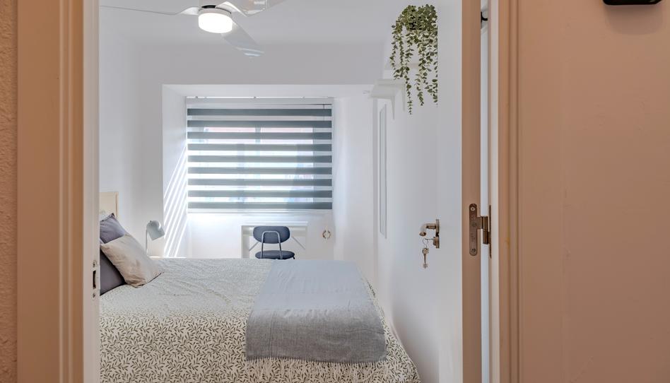 Foto 1 de Piso para compartir en Plaza Joaquín María López, 13, Los Ángeles, Alicante