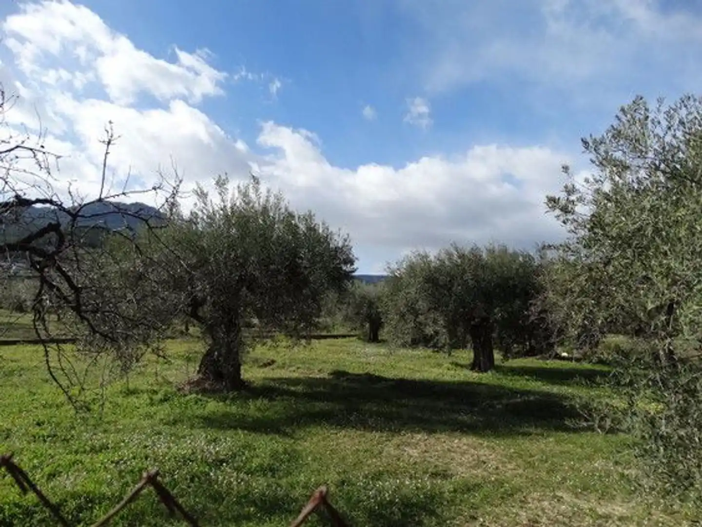 Terreni e lotti in vendita a Moratalla, imagen 3