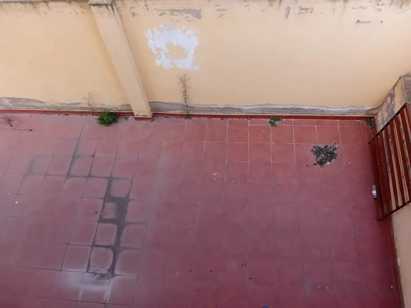 Casa o chalet en venta en Calle Garfilan, 16, Torres de Berrellén