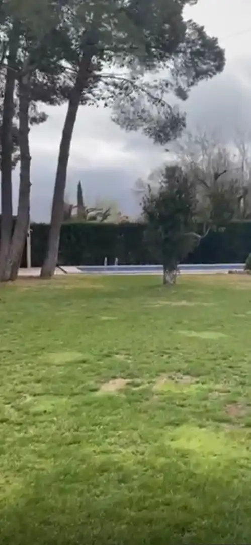 Piscina de Casa o chalet en venta en Albacete con Aire acondicionado, Calefacción y Jardín privado