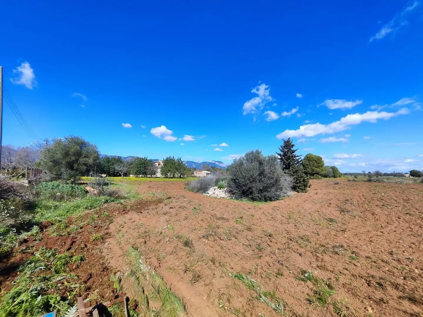 Terreny rústic en venda a Santa María del Camí, imagen 3