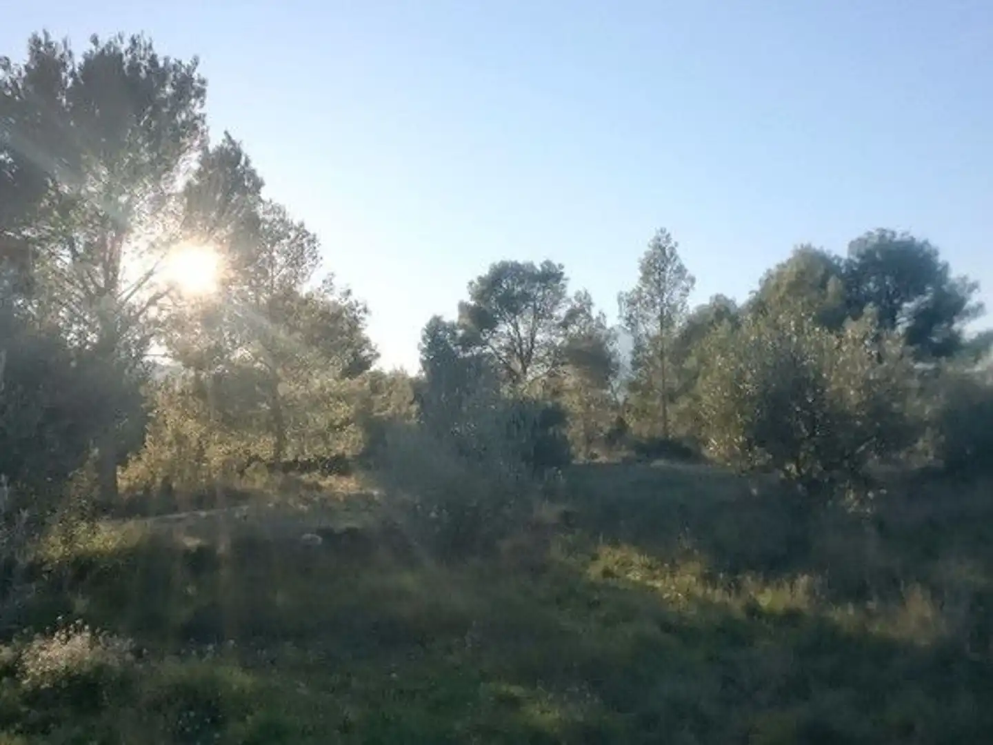 Terreni e lotti in vendita a Moratalla, imagen 13
