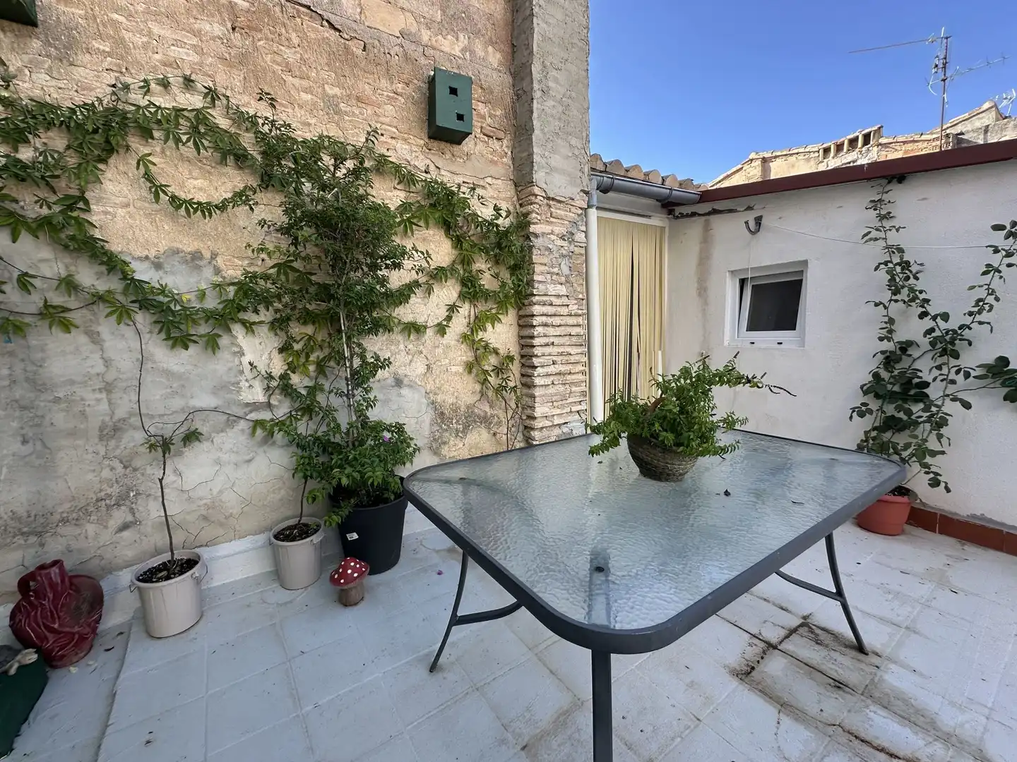 Country house for sale in Centro, imagen 27