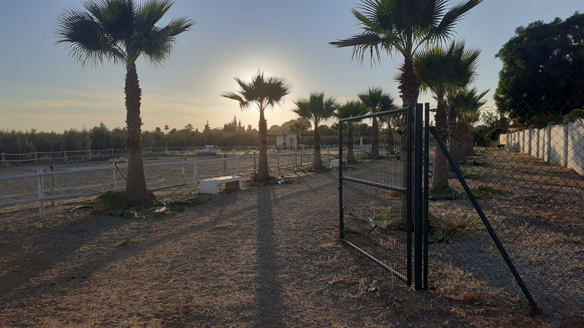 Vista exterior de Terreno en venta en Espartinas