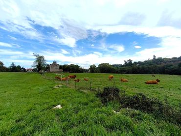 Terreno residenziale in vendita a Santillana del Mar