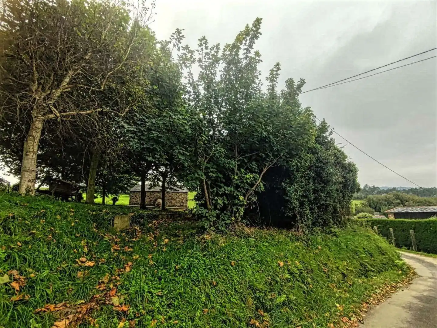 Terreno residencial en venta en bouza, imagen 8