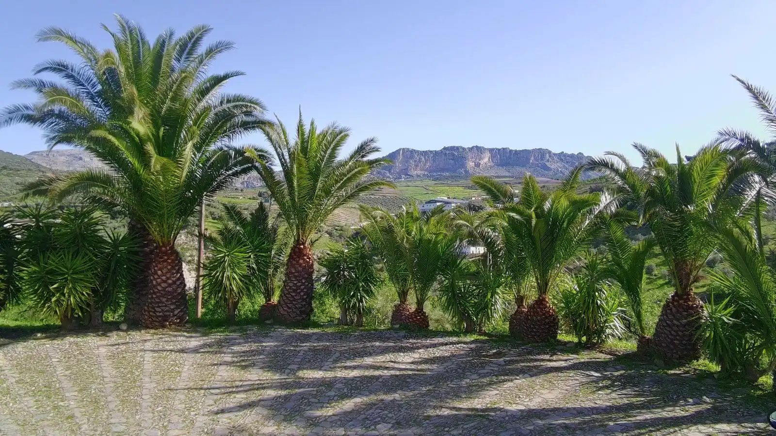 Außenansicht von Country house zum Verkauf in Villanueva de la Concepción mit Klimaanlage, Heizung und Privatgarten