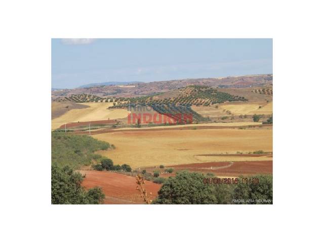 Casa-chalet en Venta en Almedina