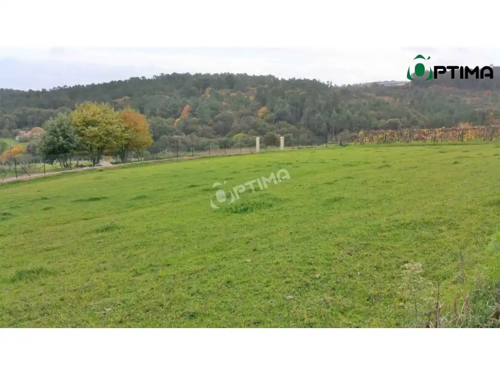 Maison à vendre à Poblado Curro-Cira, imagen 14