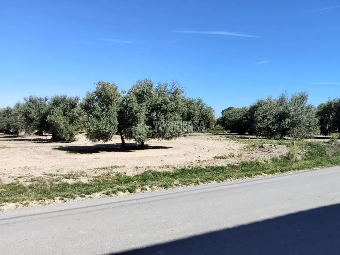Terreni e lotti in vendita a Mengíbar