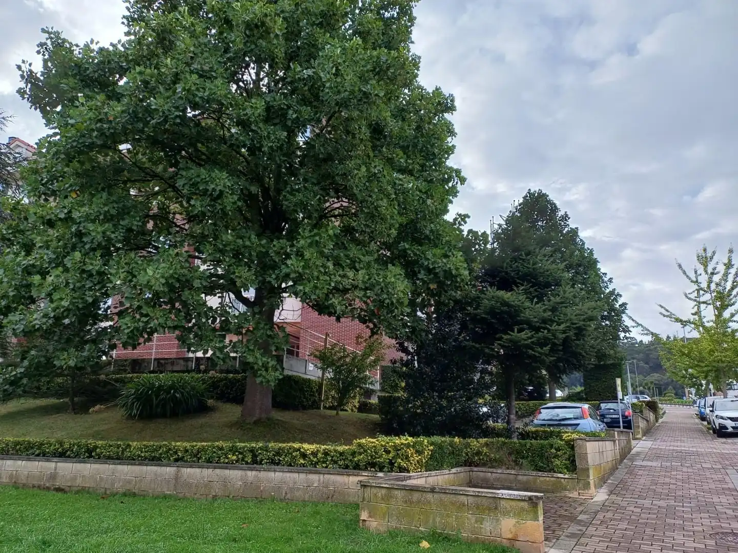 Pis amb ascensor de lloguer a Alisal - San Román, imagen 35