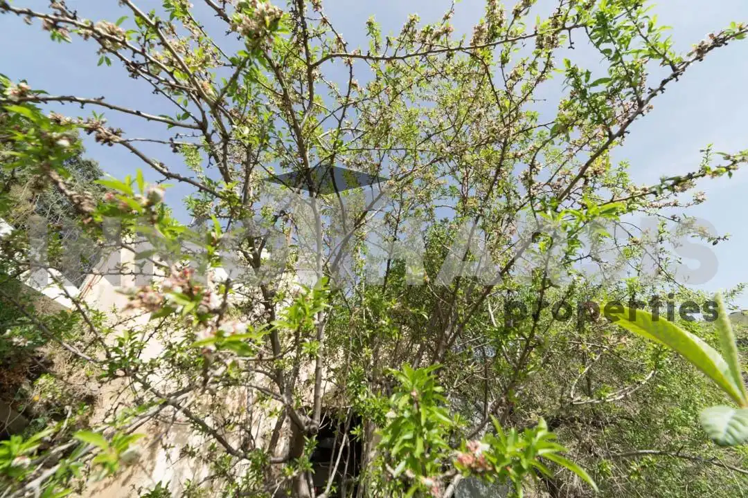 Casa o xalet en venda en Abrucena amb Jardí privat, Terrassa i Moblat