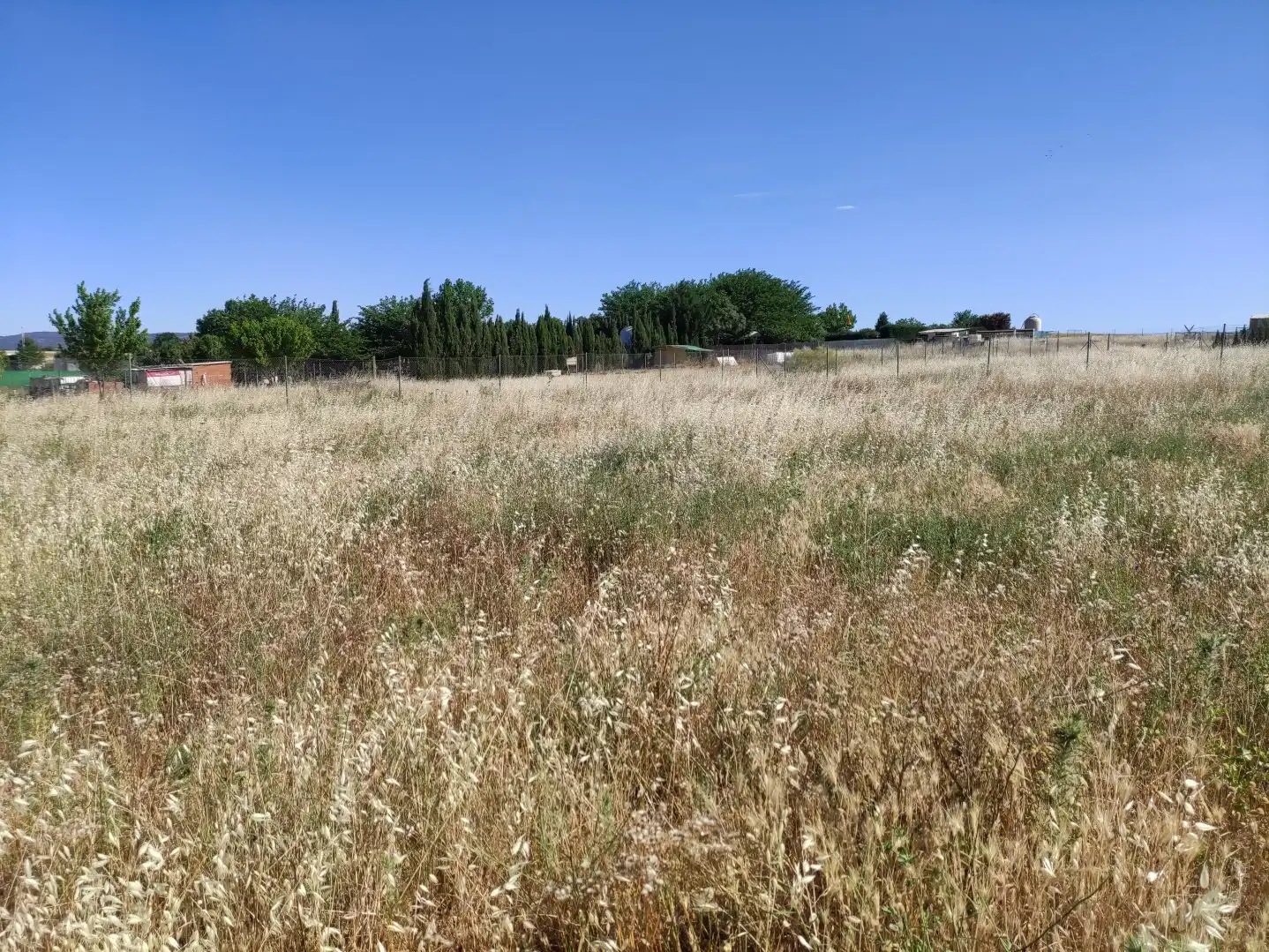 Terreni e lotti in vendita a Área Rural-Valverde-Las Casas, imagen 3