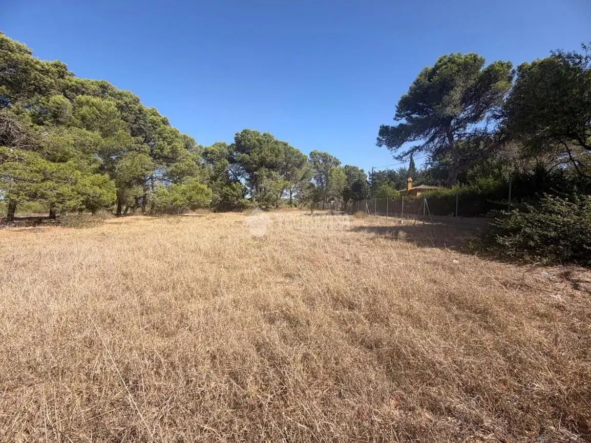 Terreny rústic en venda a Los Franceses – La Vega, imagen 18
