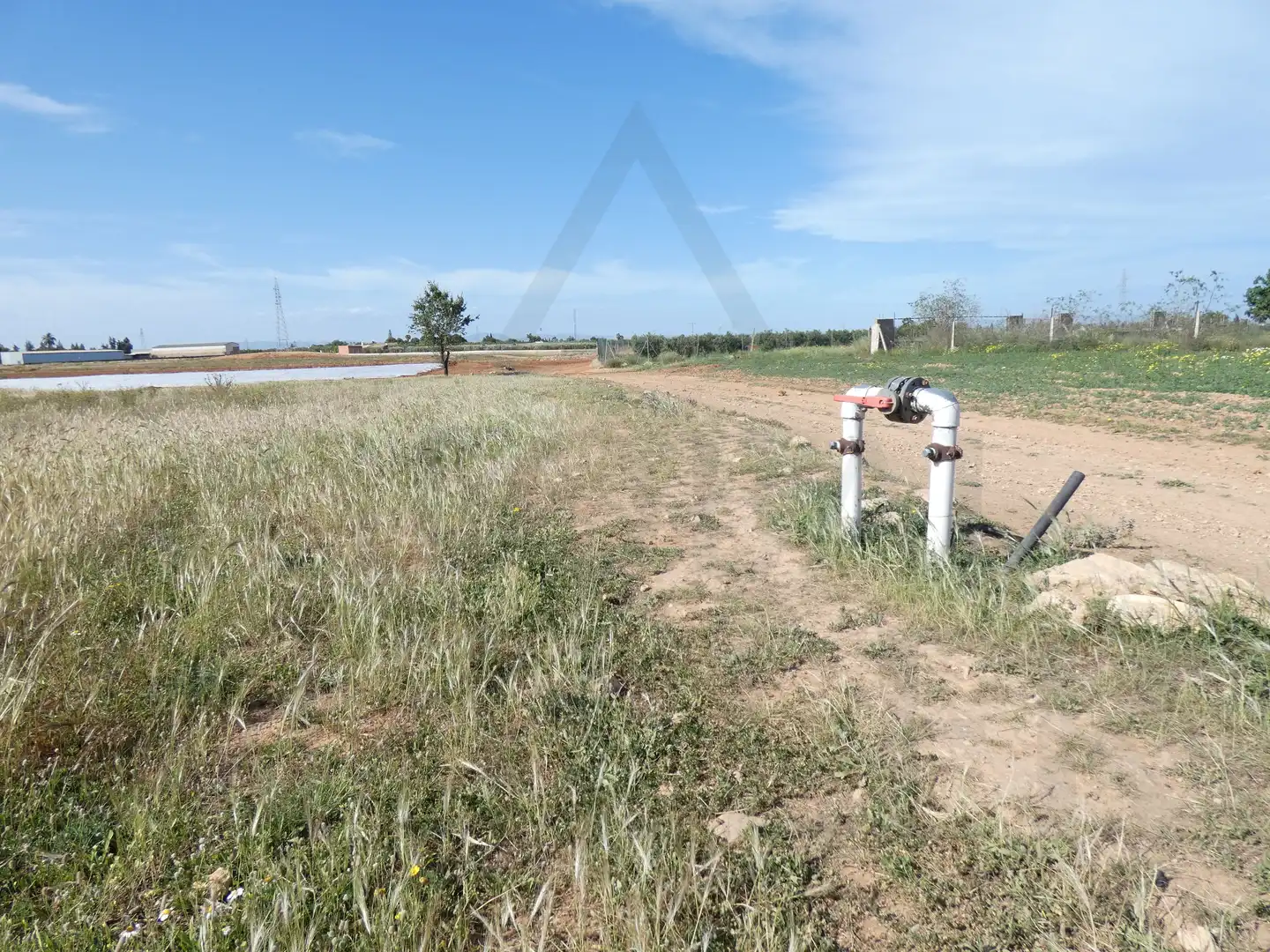 Terreni e lotti in vendita a Pedanías Oeste, imagen 12