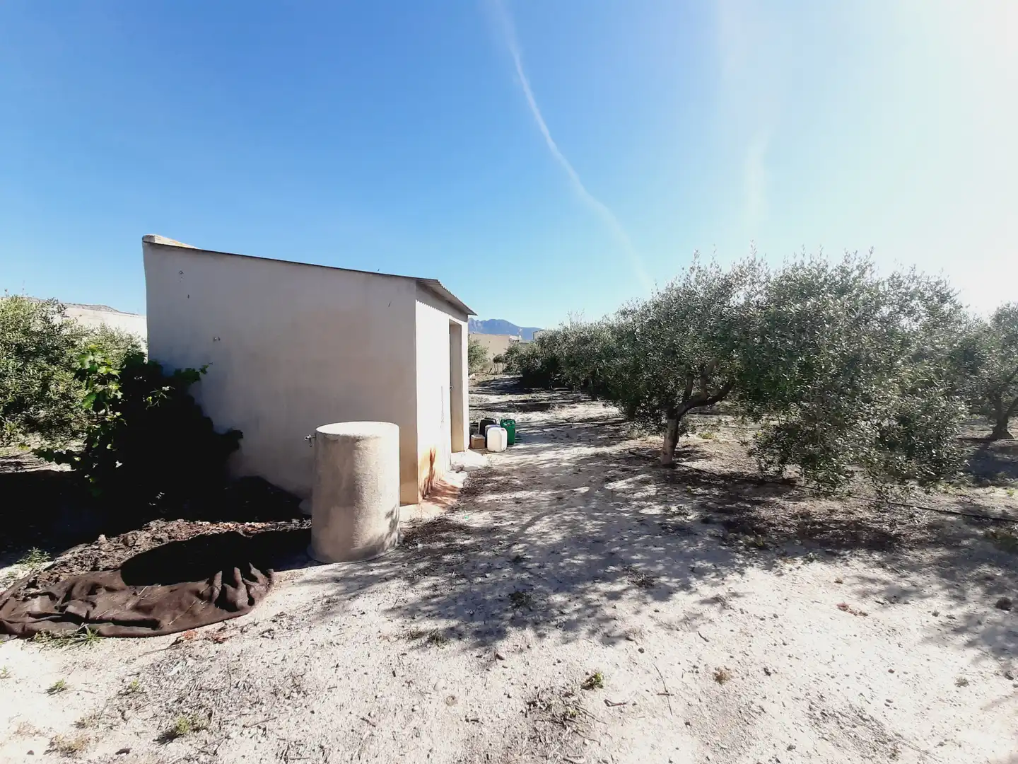 Lands and plots for sale in Mula, imagen 3