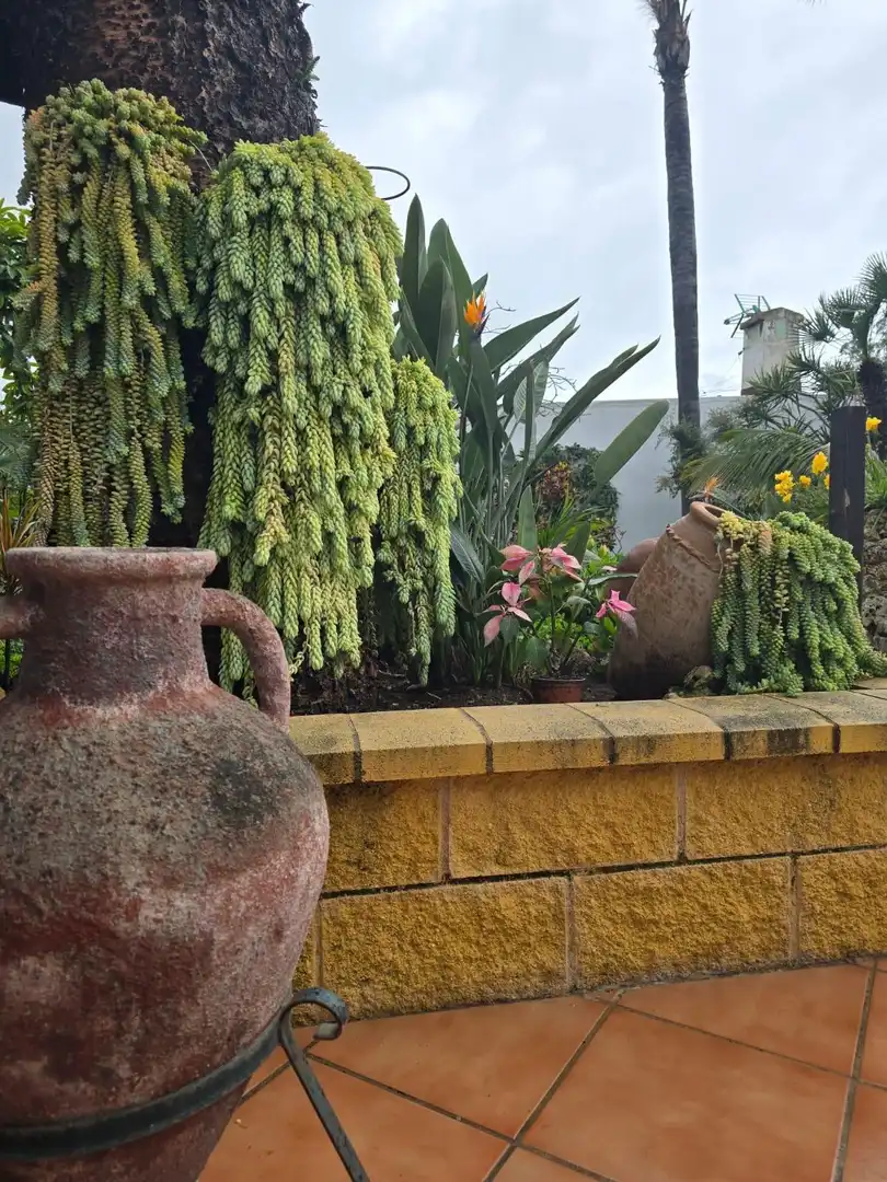 Chalet con piscina en venta en Las Chapas - El Rosario, imagen 22