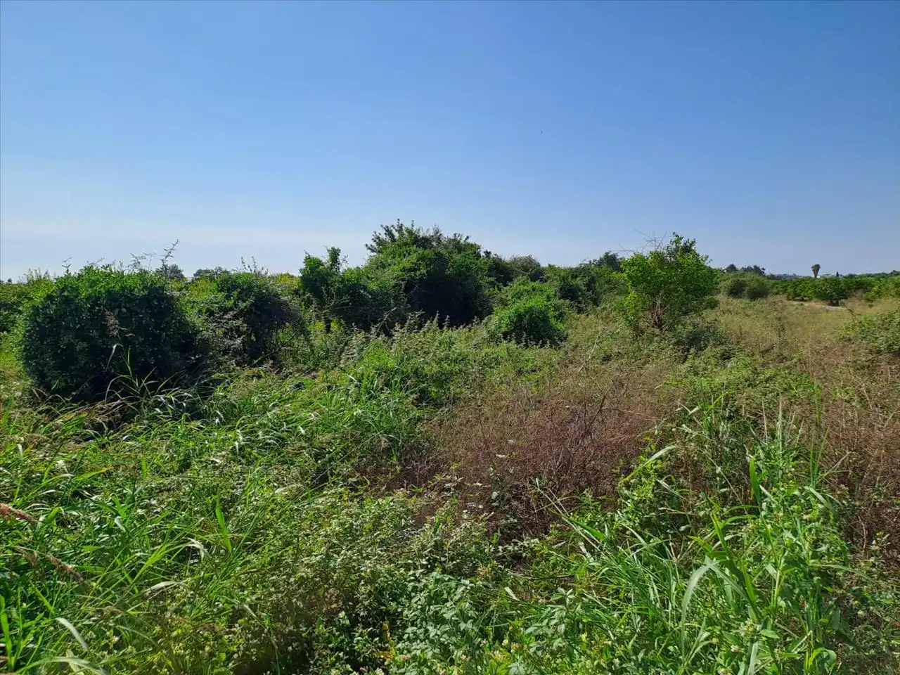 Terreny residencial en venda a POLÍGONO 3, imagen 2