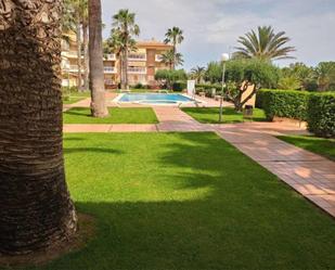 Jardí de Apartament en venda en Piles amb Jardí privat, Terrassa i Piscina