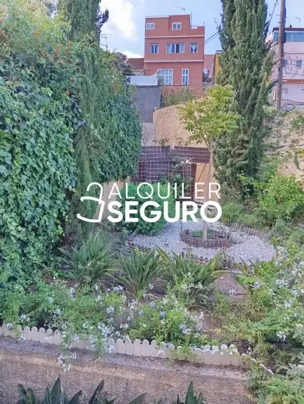 Houses for rent in Montebravo , Los Alvarados - Fuente los Berros - Bandama