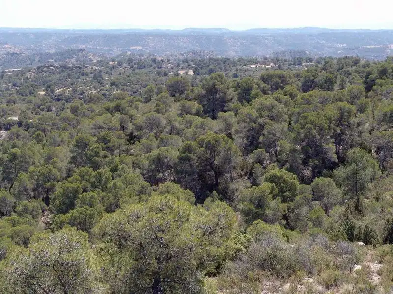 Finca rústica en venta en Alcañiz
