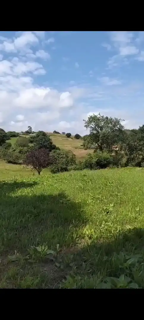 Finca rústica en venta en Valdáliga