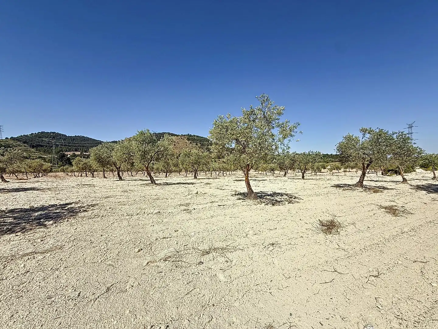 Terreno en venta en Biar