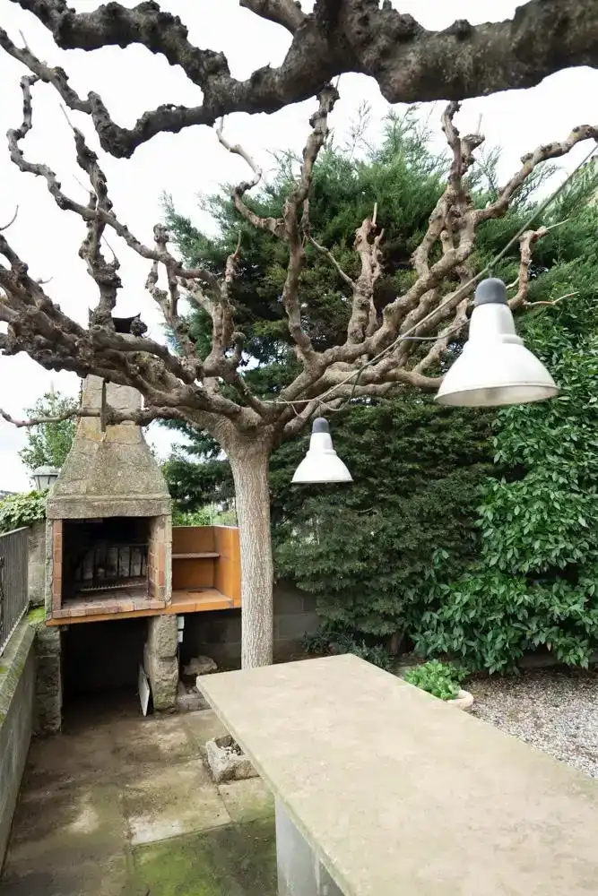 Jardí de Casa adosada en venda en Guissona amb Balcó