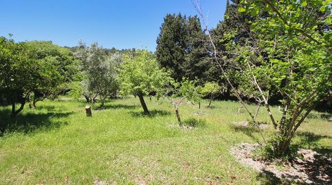 Photo 5 of Country homes for sale in Pollença Poble, Pollença
