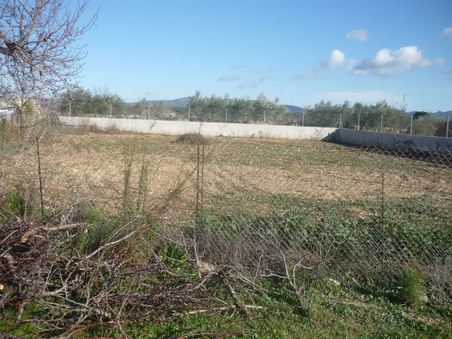 Land for sale in Vila-rodona