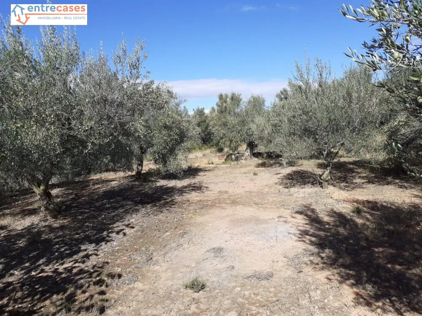 Terreno rustico in vendita a Segorbe, imagen 21