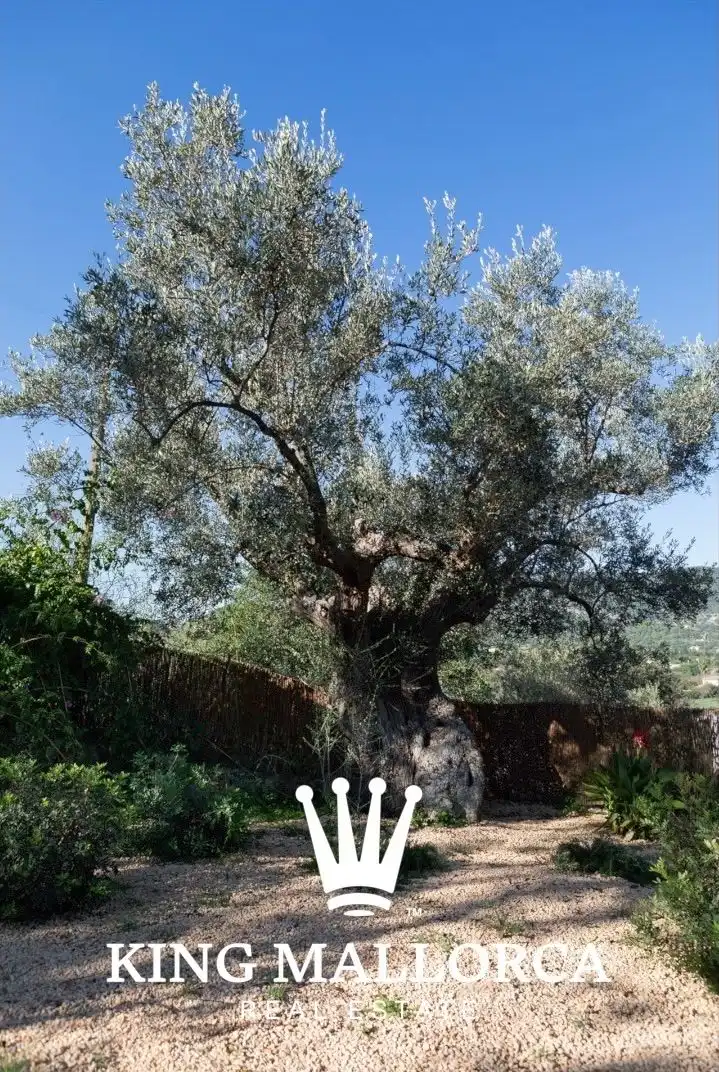 Maison avec jardin à vendre à Alaró, imagen 9