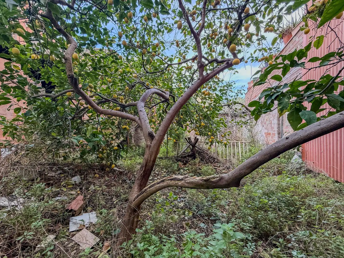 Lands and plots for sale in Concòrdia - Can Rull, imagen 6