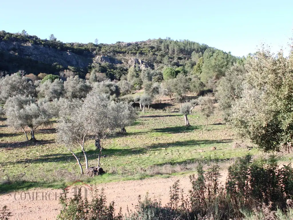 Maison à vendre à Alburquerque, imagen 32