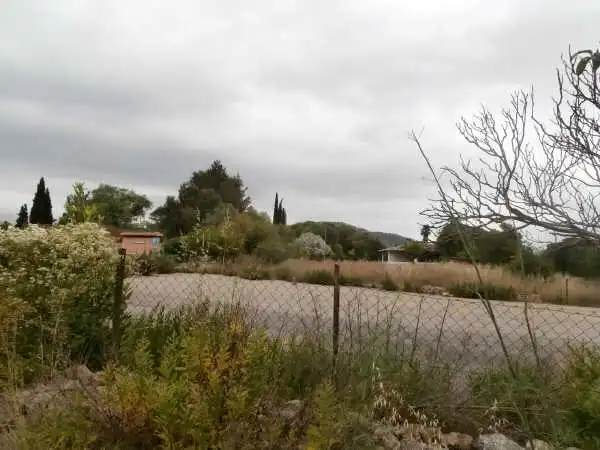 Autres à vendre à SON ALEGRE, imagen 18