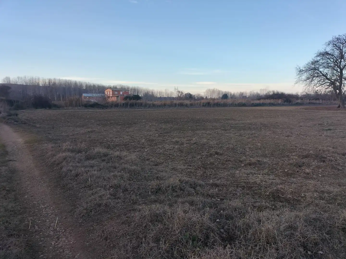 Grundstücke zum Verkauf in Villamuriel de Cerrato